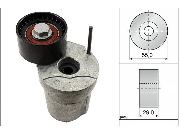 Ролик генератора BMW 2,0 - 3,0 D 1,3,5,7  (E81,87,90,91,F07,F11,F01-F04) 04-> (НАТЯЖНОЙ) INA EUROPE
