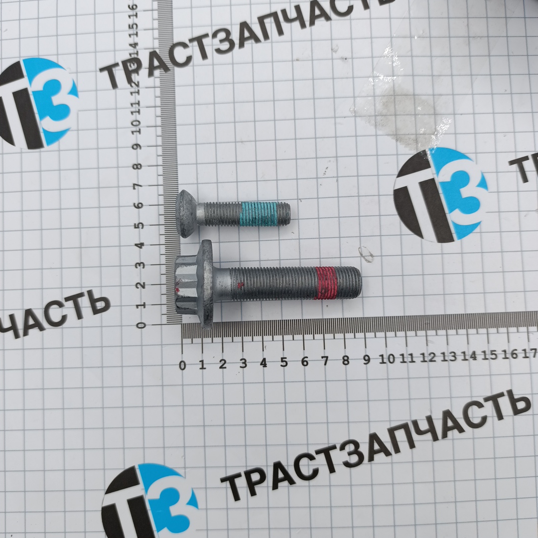 Ступица передняя VAG Audi (03-13), Seat, Skoda (04 -), Volkswagen Golf (04-) (+болты) FAG EUROPE