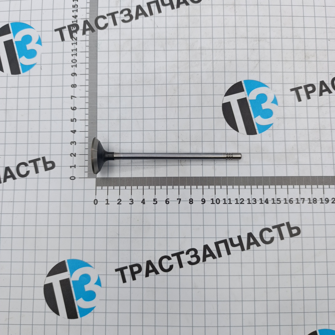 Клапан впускной 2,3 (кратн.заказа 8шт) 504069199/500362855 ORG NAVECO