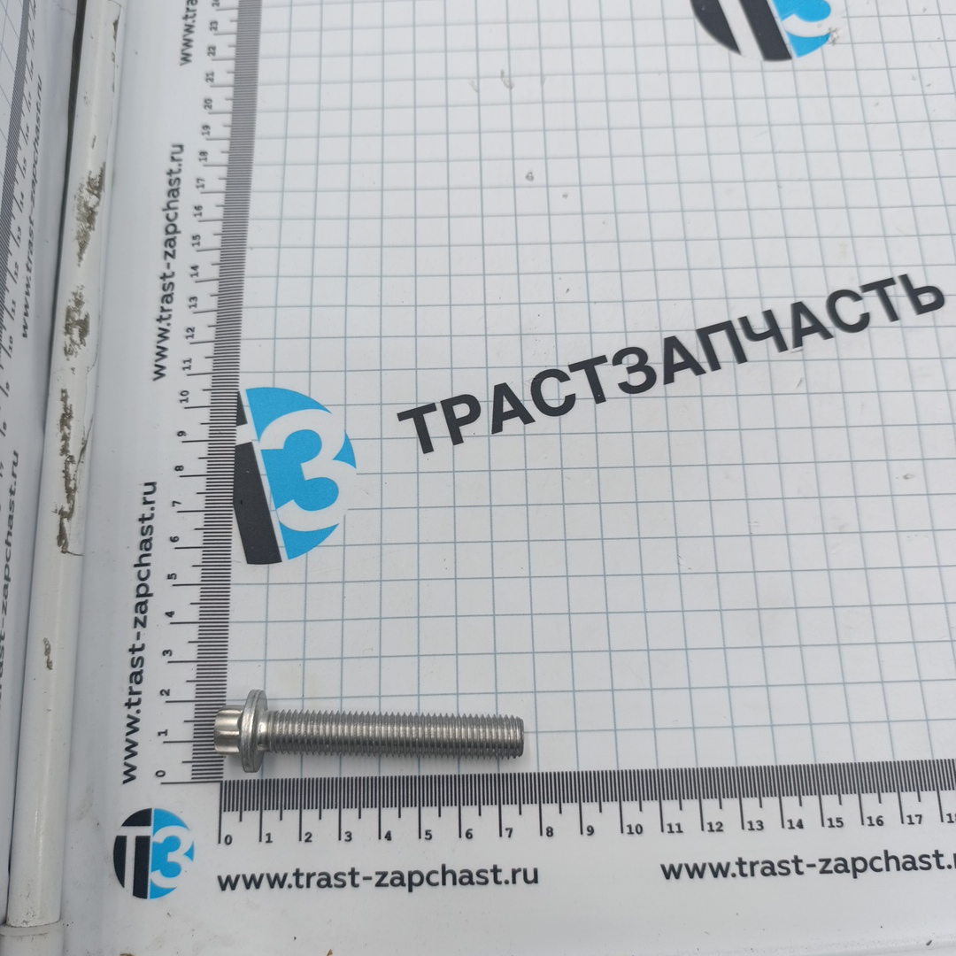 Ролик генератора BMW (НАТЯЖНОЙ) INA EUROPE