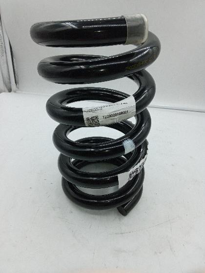 Пружина передней подвески для а/м Sollers Atlant 1.9-2.7 2902010R001 ТЗ (ТрастЗапчасть)